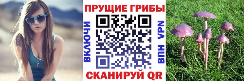 сайты даркнета телеграм  Богданович  Псилоцибиновые грибы прущие грибы  купить  